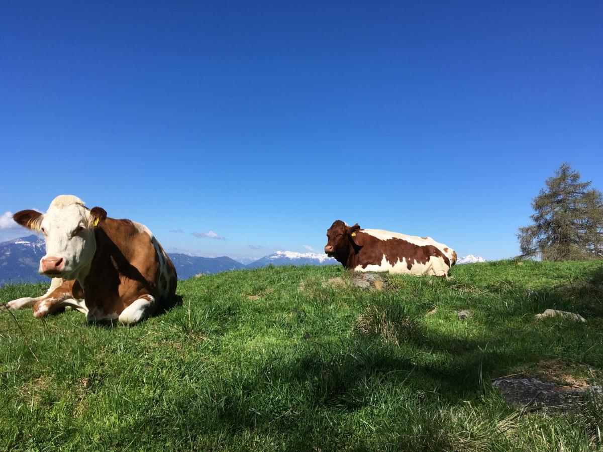 Appartement Brettljause Ferienhaus Fuenf Sinne Döbriach Exteriör bild